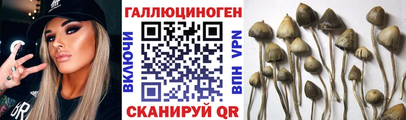 дарк нет состав  Якутск  Галлюциногенные грибы MAGIC MUSHROOMS 