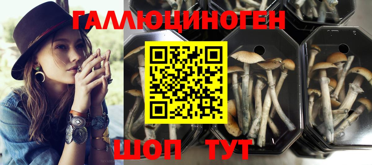 Якутск  Галлюциногенные грибы MAGIC MUSHROOMS  Псилоцибиновые грибы GOLDEN TEACHER  Вход с VPN 